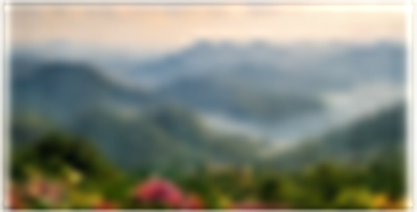 Misty landscape of Mahabaleshwar valley